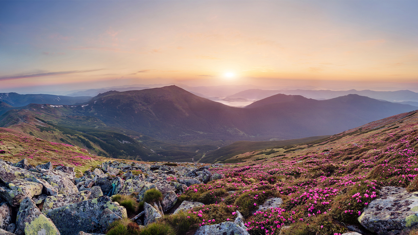 Een adembenemend uitzicht