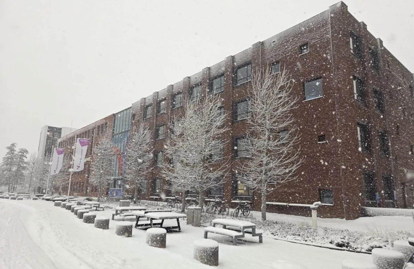 Willemijn blogt: Witte week